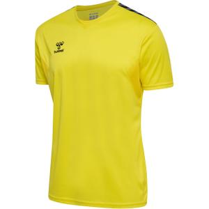 219964-5269-jersey-hummel-authentic-pl-yellow