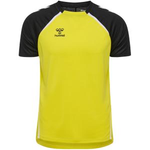 223740-5800-jersey-hummel-lead-2-0-blazing-yellow-black