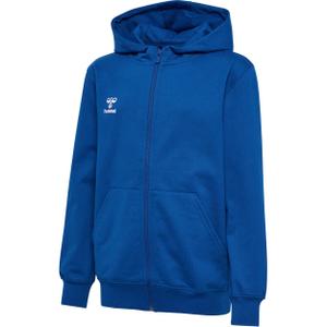 224838-7045-hooded-sweatshirt-for-kids-hummel-go-2-0-blue